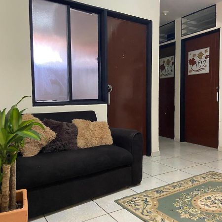 Otono Hostel San Gil Dış mekan fotoğraf